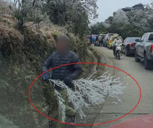 Đi 'săn' băng giá, một số du khách tiện tay bẻ cả cành cây lớn về... làm quà