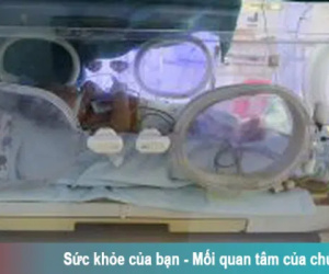 Ảnh minh họa