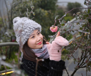 Giới trẻ đổ xô đi ‘săn’ băng