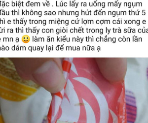 Bóc phốt quán trà sữa nổi tiếng ở Đà Nẵng có giòi, cô gái bị một nhóm người công kích gây tranh cãi trên mạng xã hội