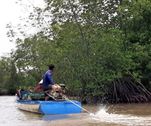 Phát hiện thi thể người mẹ cùng con trai 3 tuổi dưới kênh nước ở Cà Mau