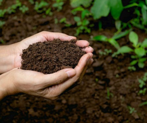 Tại sao đất có màu nâu mà không phải xanh, đỏ, tím, vàng?