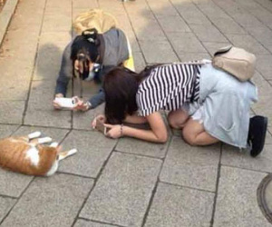 Cười ngã ngửa với loạt hành động chả có tí thục nữ nào của các gái xinh