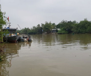 Ảnh minh họa