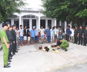Trà Vinh: Bộ Công an đột kích trường gà giữa cánh đồng