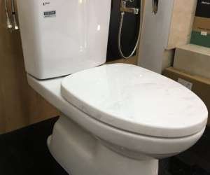 Nhân viên văn phòng trộm hàng loạt... bồn cầu