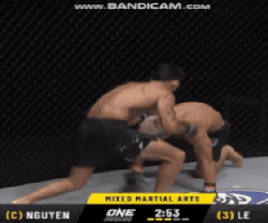 Võ sĩ gốc Việt làm báo Canada phải ngả mũ, tán dương hết lời sau màn hạ knock-out đỉnh cao