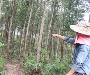 Vụ xã 'buộc' dân nộp tiền để trả nợ quán xá: Đất rừng vào nhà cán bộ?