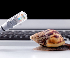 Thất vọng với chất lượng mạng Internet, người đàn ông tự xây dựng một đường cáp quang của riêng mình