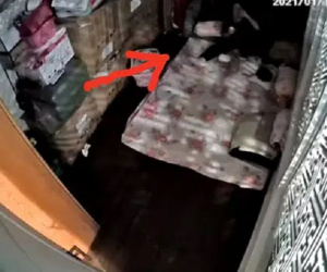 Lắp camera giấu kín, mẹ trẻ sốc nặng phát hiện nữ giúp việc 'tu ừng ực' bình sữa của con rồi nói dối là bé đã uống hết!
