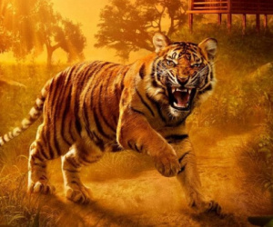 Hung tinh đeo bám, 3 con giáp này dễ gặp xui xẻo, tiểu nhân hãm hại trong những ngày cuối năm