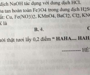 Đề kiểm tra xuất hiện câu hỏi có nội dung lạ, học trò đọc xong cười không nhặt được mồm nhưng chẳng biết giáo viên chấm điểm bằng cách nào
