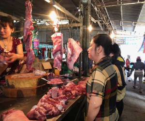 Heo hơi tiếp tục tăng giá, tiểu thương chợ sỉ khóc ròng vì ế