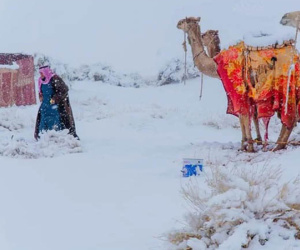 Tuyết phủ trắng sa mạc Sahara