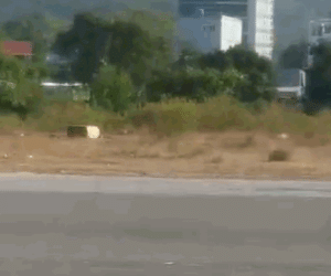 Video: Nam thanh niên nước ngoài 'làm xiếc' trên xe máy khiến người dân bất bình