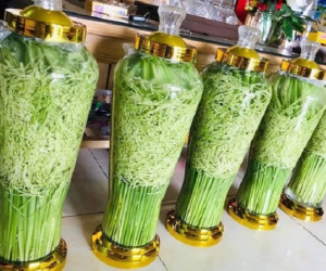 Rượu hoa quả 'gây sốt' thị trường trước Tết Nguyên đán