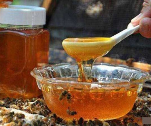 Uống mật ong nếu có 1 trong 6 dấu hiệu này cần dừng ngay kẻo hối hận