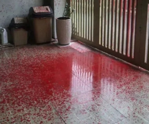 Tín dụng 'đen' giăng bẫy đủ kiểu: Phải ngăn chặn từ gốc!