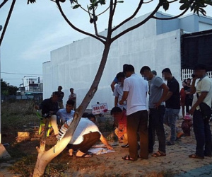 Bình Thuận phá 2 vụ vận chuyển ma túy số lượng lớn
