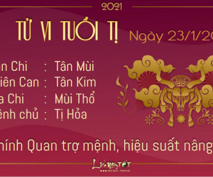Tử vi thứ 7 ngày 23/01/2021 của 12 con giáp: Sửu đề phòng tiểu nhân, Tý ví tiền rủng rỉnh