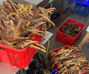 Hải sản Na Uy giá bạc triệu chỉ 'giới nhà giàu' mới có thể mua đang giảm kịch sàn cận Tết, 49.000 đồng/kg ai cũng xuýt xoa