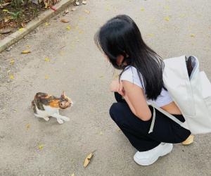 Chuyện cô gái Sài Gòn cho đàn mèo hoang ăn thu hút nghìn like, dân mạng bất ngờ vì sự 'chứa chấp' đầy đáng yêu của lũ thú trong Thảo Cầm Viên