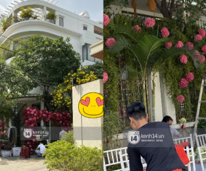 Đám cưới Phan Thành - Primmy Trương lộ những hình ảnh đầu tiên: Cổng hoa tươi to vật vã sừng sững trước biệt thự
