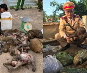 Chở 2 bao tải khỉ đi tiêu thụ thì gặp CSGT