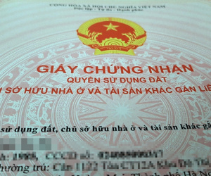 Những chính sách nổi bật có hiệu lực từ tháng 2