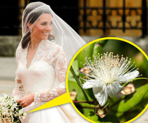 9 điều kỳ lạ tồn tại trong Hoàng gia Anh khiến người thường cảm thấy cực kỳ khó hiểu