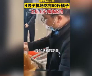 Ăn 30 kg quýt để khỏi trả phí hành lý
