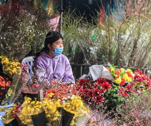 Tai họa ngày cận Tết, cả làng hoa Hà Nội 'ngồi trên đống lửa'
