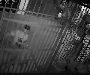 Video: Gã đàn ông đạp tung cổng, xông vào bắt chó bằng thủ đoạn gây sốc