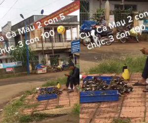 Nghe quảng cáo bán hàng của anh bán cua '2 con 50k, 3 con 100k', nghe thì vô lý nhưng thực chất lại là đạo lý rất thâm sâu