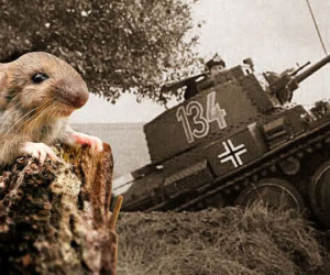 Đội quân chuột làm nên chiến thắng Đức Quốc xã trong Trận Stalingrad