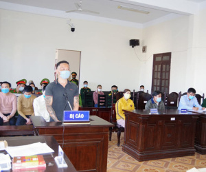 Tòa án Quân sự tuyên phạt 6 bị cáo đầu độc rừng thông ven Quốc lộ 14