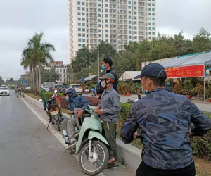 'Cửu vạn' chở cây cảnh thuê 'dài cổ' chờ việc ở chợ hoa Tết