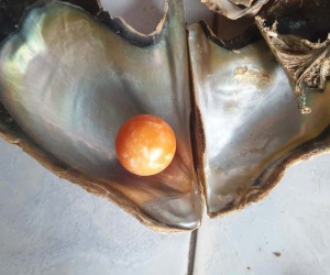 Ngư dân nghèo nhặt được ngọc quý hơn 7 tỷ đồng nhờ 'báo mộng'
