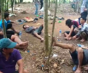 Bị đột kích, con bạc nằm la liệt trong vườn bạch đàn, thở không ra hơi