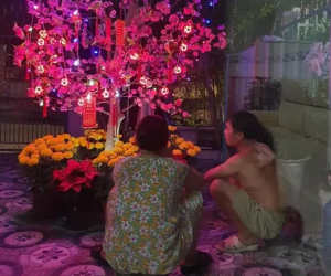 Hai vợ chồng ngồi bên cây đào giả và câu chuyện bật mí phía sau khiến dân mạng 'thả like' rần rần