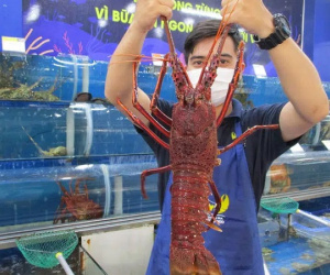 Ảnh minh họa