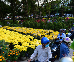 TP.HCM ngày cận Tết: Hoa rực sắc màu, giá giảm sâu, người mua thưa vắng