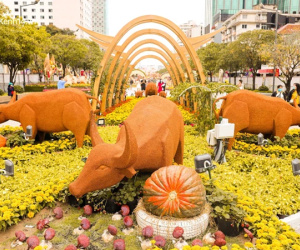 Ảnh: Đường hoa Nguyễn Huệ Sài Gòn năm nay đẹp 'nhức nách' không sến chỉ thấy sang, lên hình góc nào cũng 'ảo'