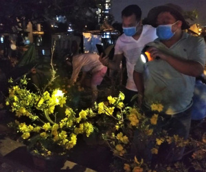 Đêm giao thừa người TPHCM soi đèn mua hoa Tết giải cứu nông dân