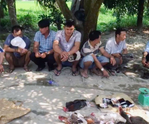 Bắt hàng loạt vụ đá gà, đánh bài ở Vĩnh Long, thu giữ hơn 100 triệu