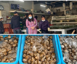Đi chợ đầu năm: Hải sản tăng giá vùn vụt, hoa tươi rẻ hơn trước Tết 