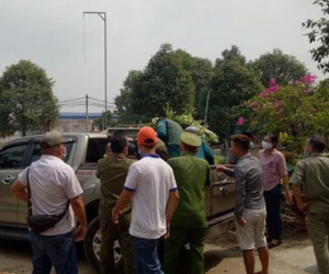 Khống chế kẻ ngáo đá chốt cửa, phóng hỏa đòi chết trong khu chung cư