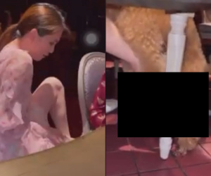 Ngọc Trinh mới đầu năm đã gây thị phi: Đăng clip cún làm hành động nhạy cảm, còn đặt câu hỏi trêu ngươi