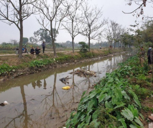 Phát hiện thi thể cụ bà dưới sông ngày mùng 4 Tết Nguyên đán