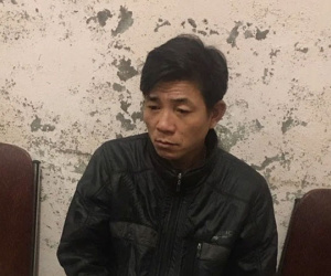 Phát hiện hàng loạt vụ trộm siêu 'dị' từ viên đạn trong đầu con bò